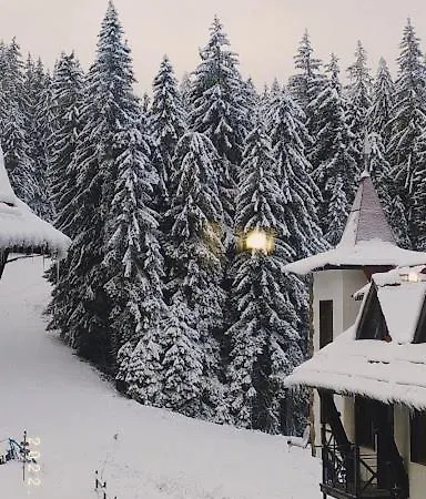 Apartament-damo Apartment