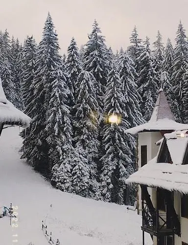 Apartament-damo Daire